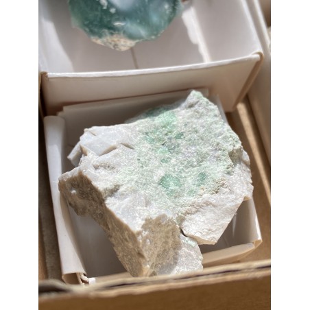 VARISCITE minerale grezzo naturale 5 cm